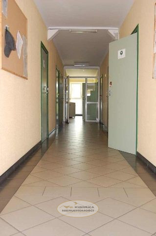 Lokal Wynajem Gorzów Wielkopolski