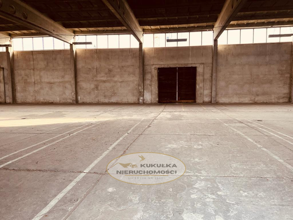 Obiekt Wynajem Gorzów Wielkopolski Zawarcie