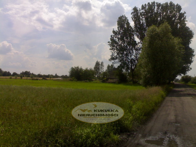 Działka Sprzedaż Gorzów Wielkopolski