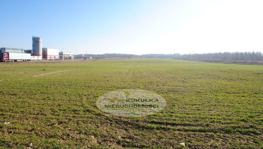Działka Sprzedaż Gorzów Wielkopolski Chróścik