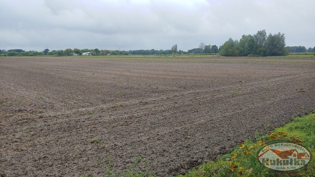 Działka Sprzedaż Gorzów Wielkopolski Zieleniec