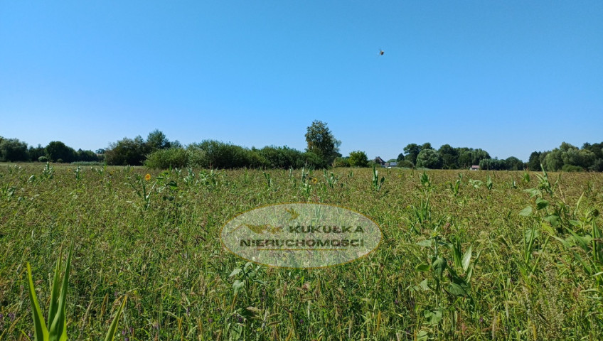 Działka Sprzedaż Włostów