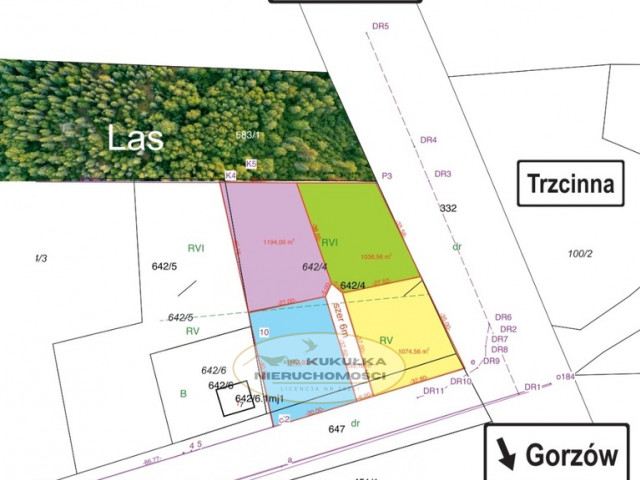 Działka Sprzedaż Trzcinna