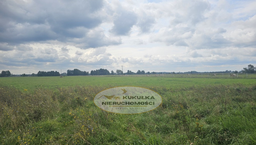 Działka Sprzedaż Prądocin