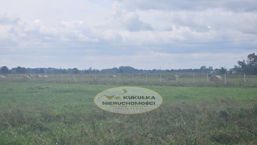 Działka Sprzedaż Prądocin