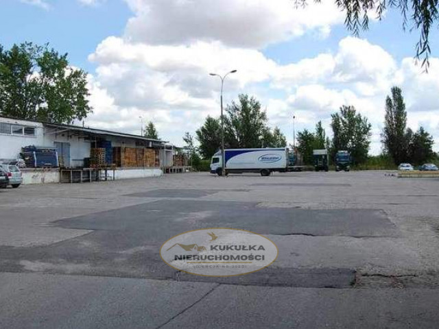 Lokal Wynajem Gorzów Wielkopolski