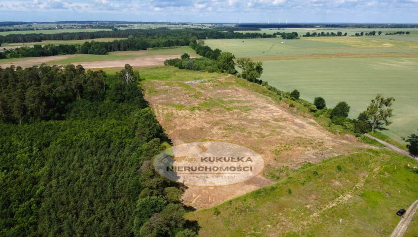 Działka Sprzedaż Baczyna-Kolonia