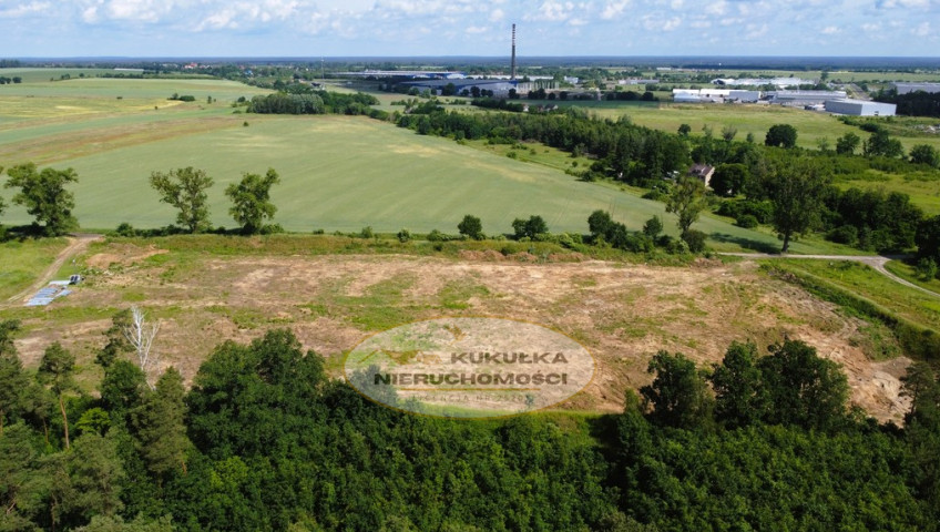 Działka Sprzedaż Baczyna-Kolonia