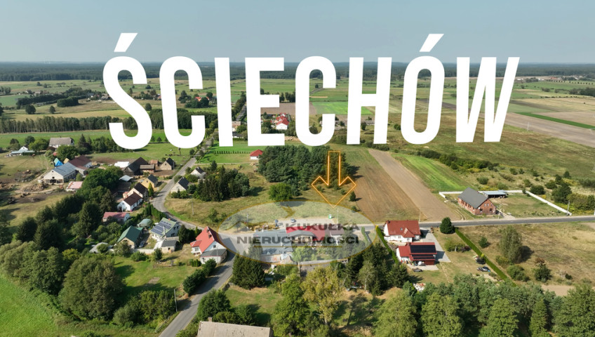 Działka Sprzedaż Ściechów