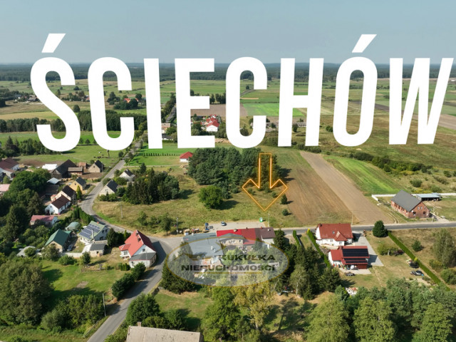 Działka Sprzedaż Ściechów