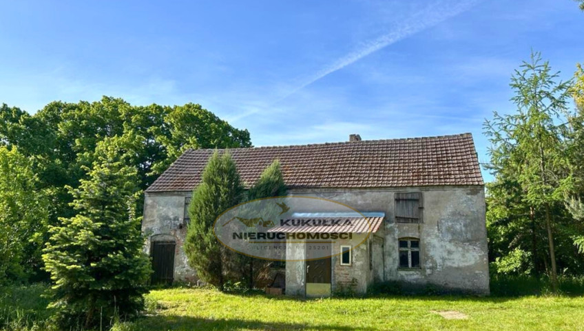 Dom Sprzedaż Wierzbnica
