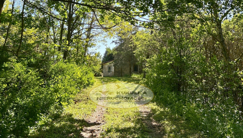 Dom Sprzedaż Wierzbnica