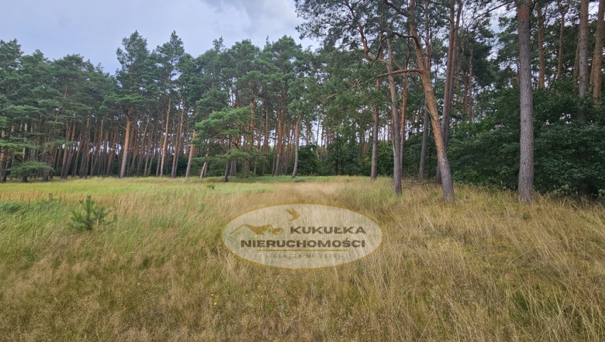 Działka Sprzedaż Murzynowo Warcińska