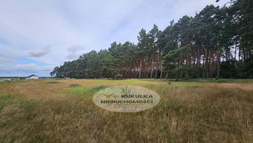 Działka Sprzedaż Murzynowo Warcińska