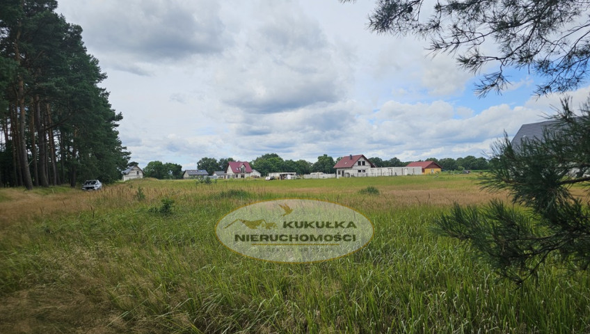Działka Sprzedaż Murzynowo Warcińska