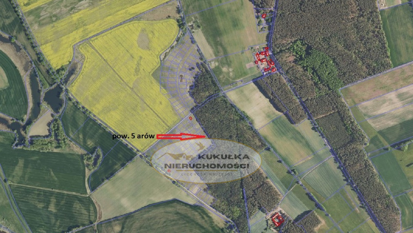 Działka Sprzedaż Murzynowo Warcińska