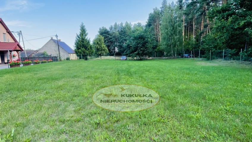 Działka Sprzedaż Kłodawa