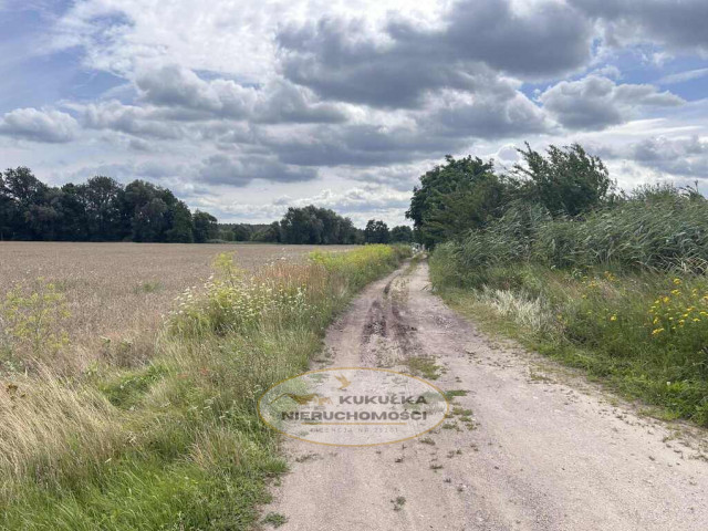 Działka Sprzedaż Gorzów Wielkopolski Zieleniec Niwicka
