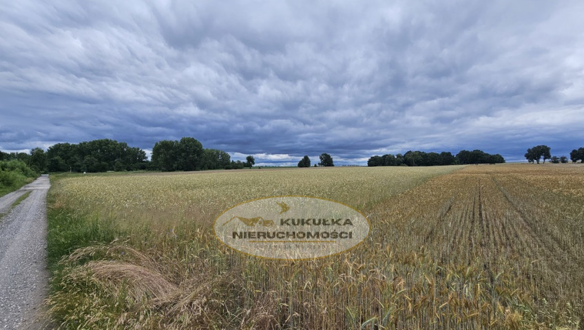 Działka Sprzedaż Wojcieszyce