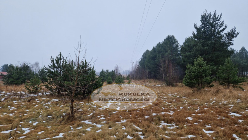 Działka Sprzedaż Łośno