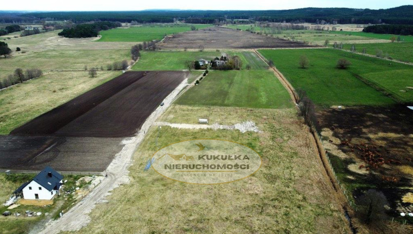 Działka Sprzedaż Skwierzyna