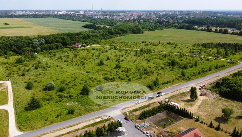 Działka Sprzedaż Kłodawa