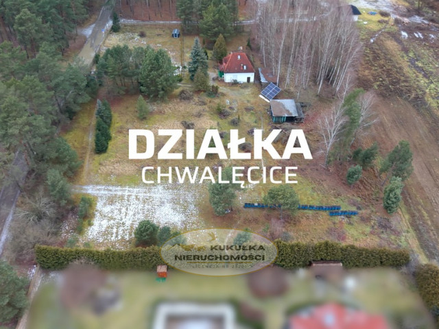Działka Sprzedaż Chwalęcice Leśna