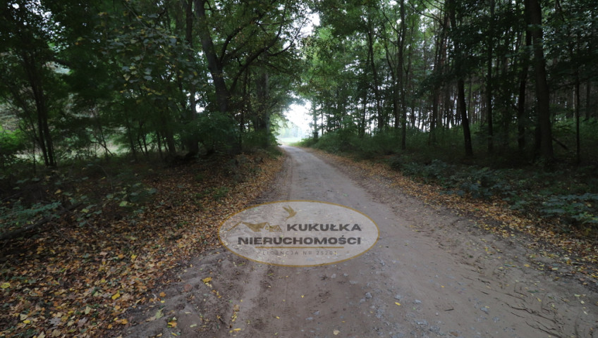 Działka Sprzedaż Mironice