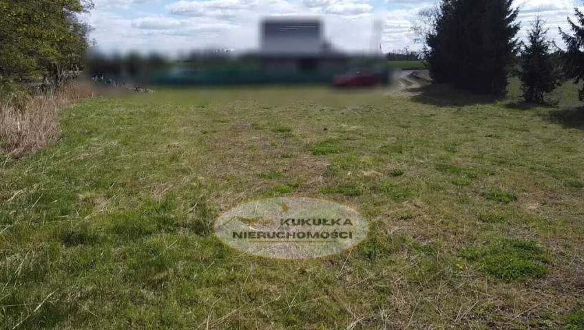 Działka Sprzedaż Kłodawa