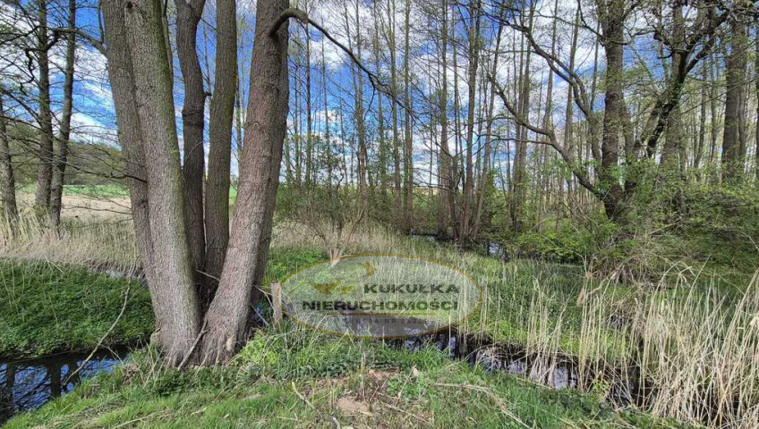 Działka Sprzedaż Kłodawa