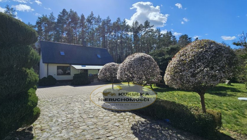 Dom Sprzedaż Borówno