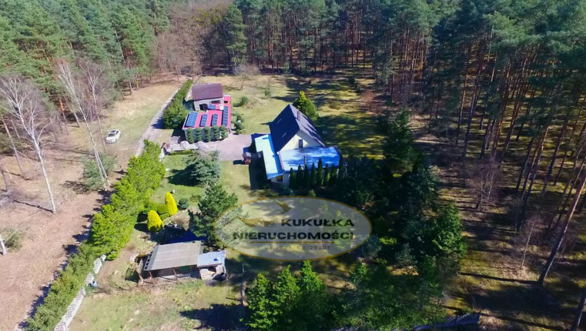 Dom Sprzedaż Borówno