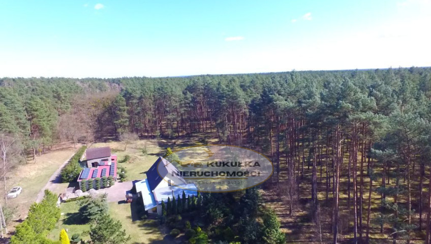 Dom Sprzedaż Borówno