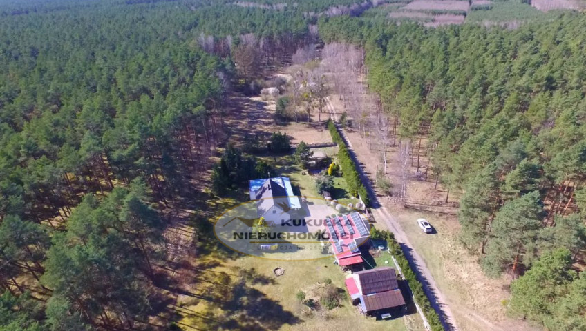 Dom Sprzedaż Borówno