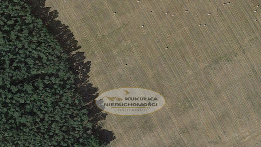 Działka Sprzedaż Janczewo