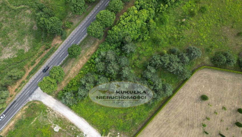 Działka Sprzedaż Różanki