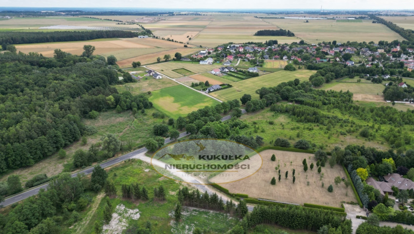 Działka Sprzedaż Różanki