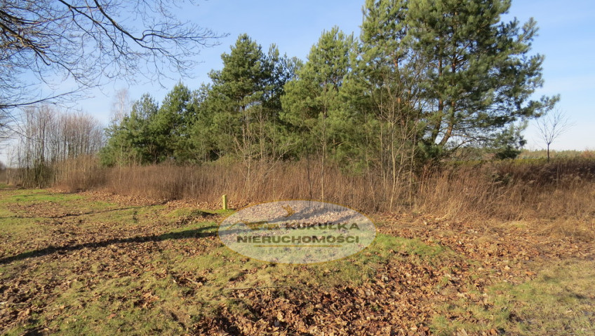 Działka Sprzedaż Różanki