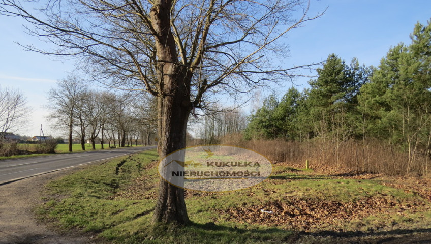 Działka Sprzedaż Różanki