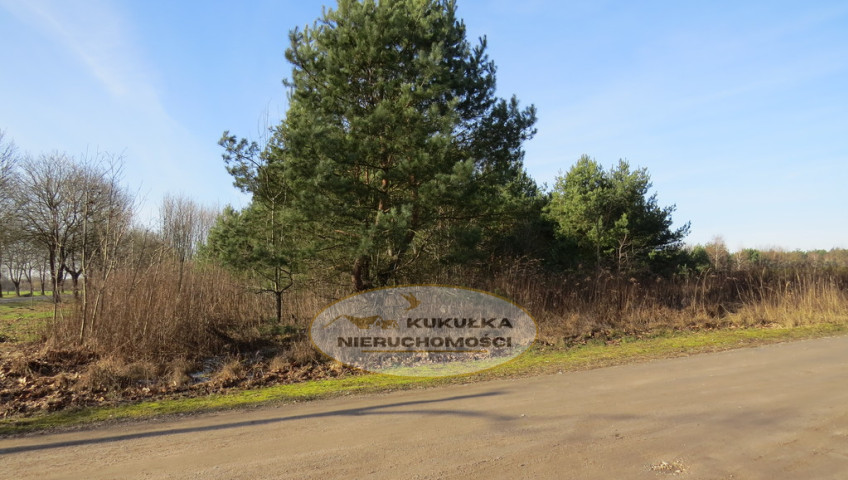 Działka Sprzedaż Różanki