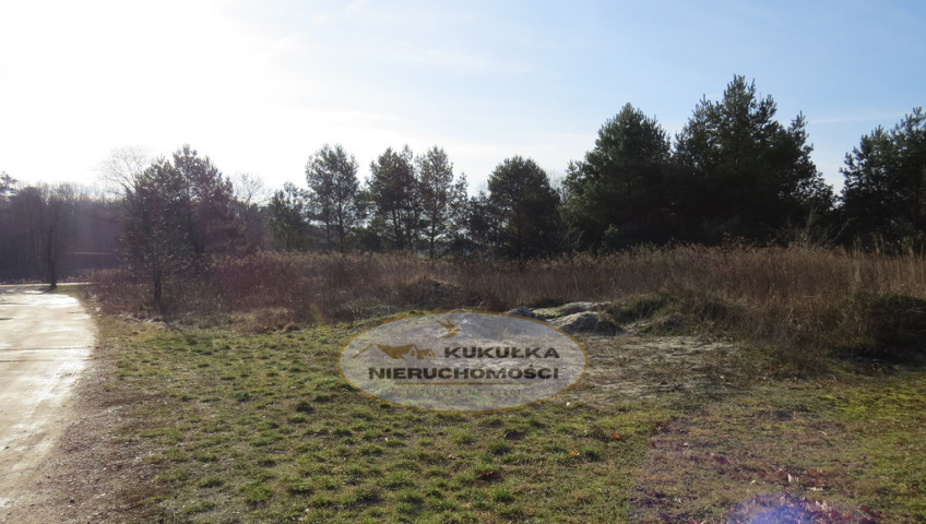 Działka Sprzedaż Różanki