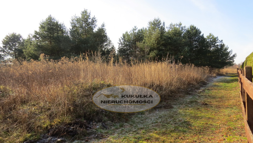Działka Sprzedaż Różanki