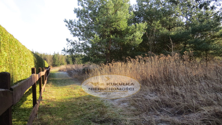 Działka Sprzedaż Różanki