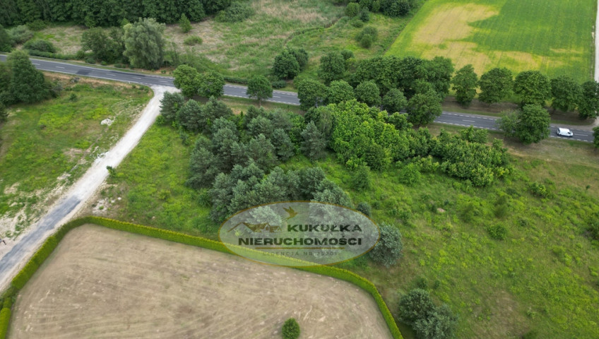 Działka Sprzedaż Różanki