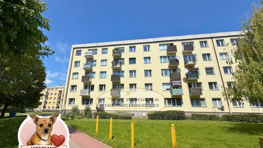 Mieszkanie Sprzedaż Gorzów Wielkopolski Władysława Broniewskiego