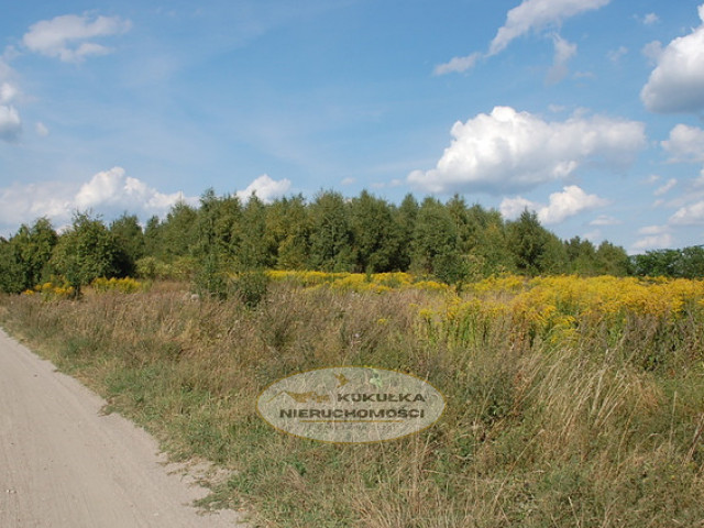Działka Sprzedaż Wawrów