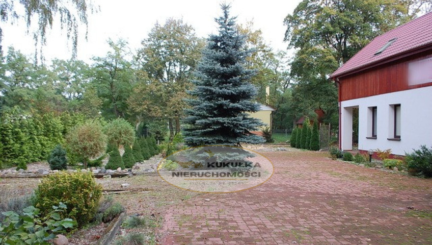 Dom Sprzedaż Santoczno