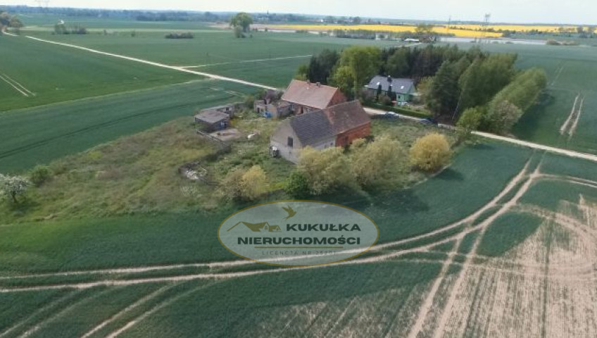 Dom Sprzedaż Myślibórz