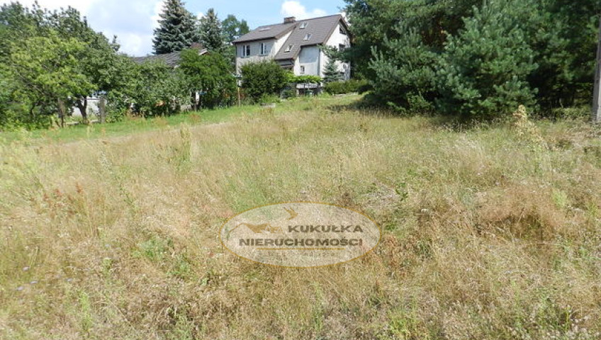 Działka Sprzedaż Rzepin