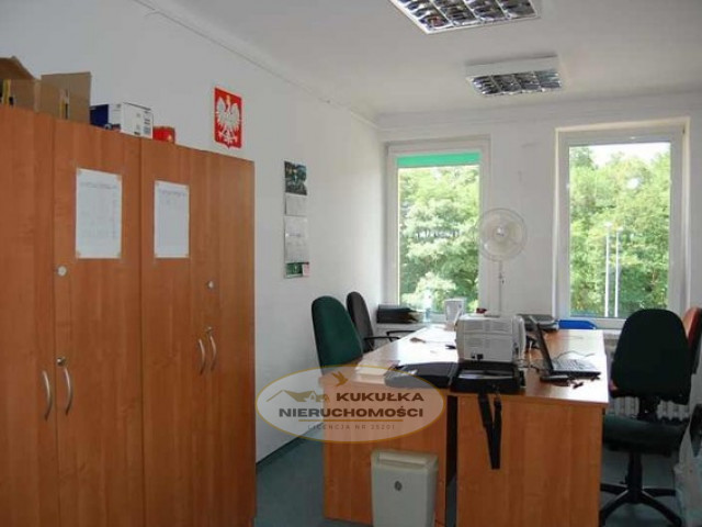 Lokal Wynajem Gorzów Wielkopolski